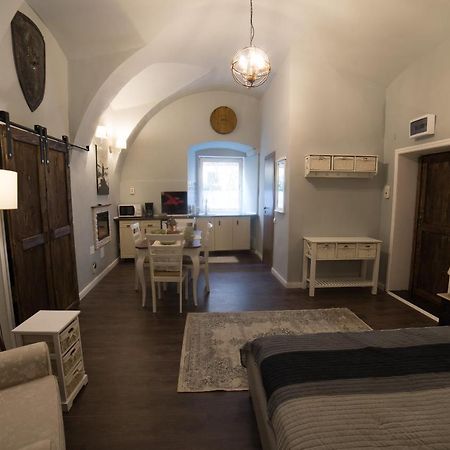 Ultra Central Medieval Apartment 克卢日-纳波卡 外观 照片