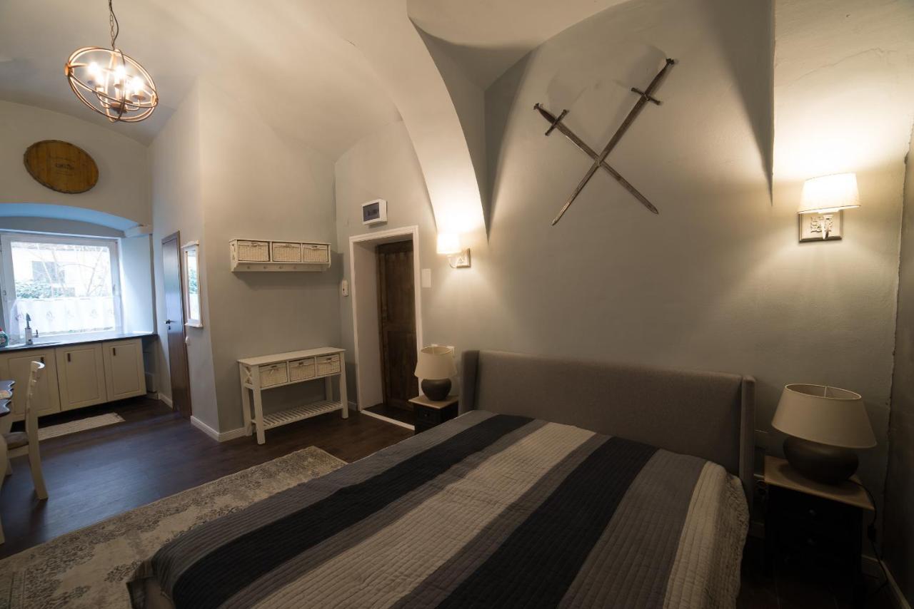Ultra Central Medieval Apartment 克卢日-纳波卡 外观 照片