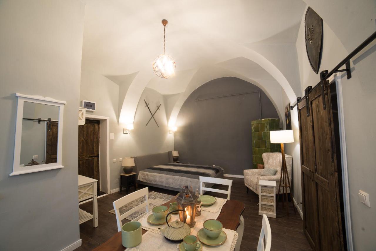 Ultra Central Medieval Apartment 克卢日-纳波卡 外观 照片