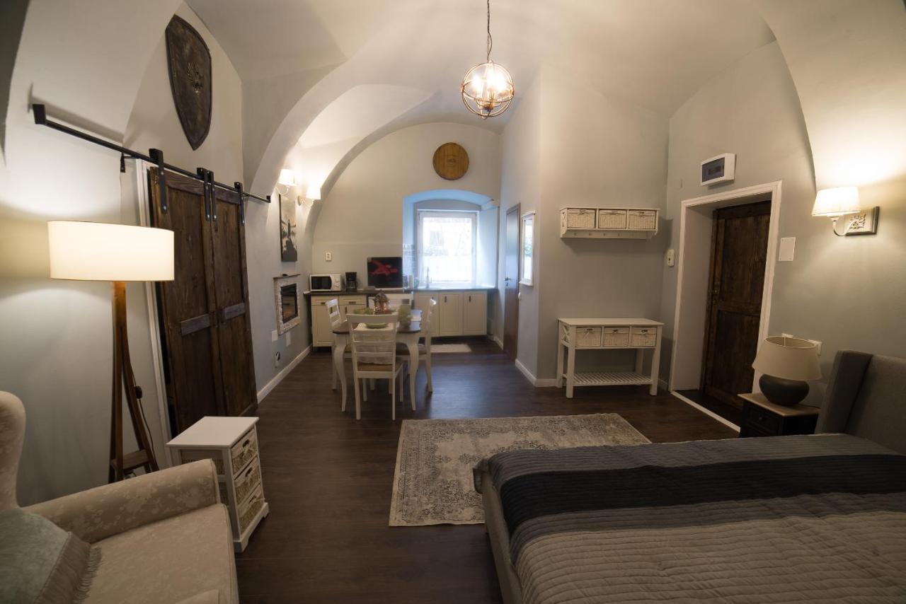 Ultra Central Medieval Apartment 克卢日-纳波卡 外观 照片